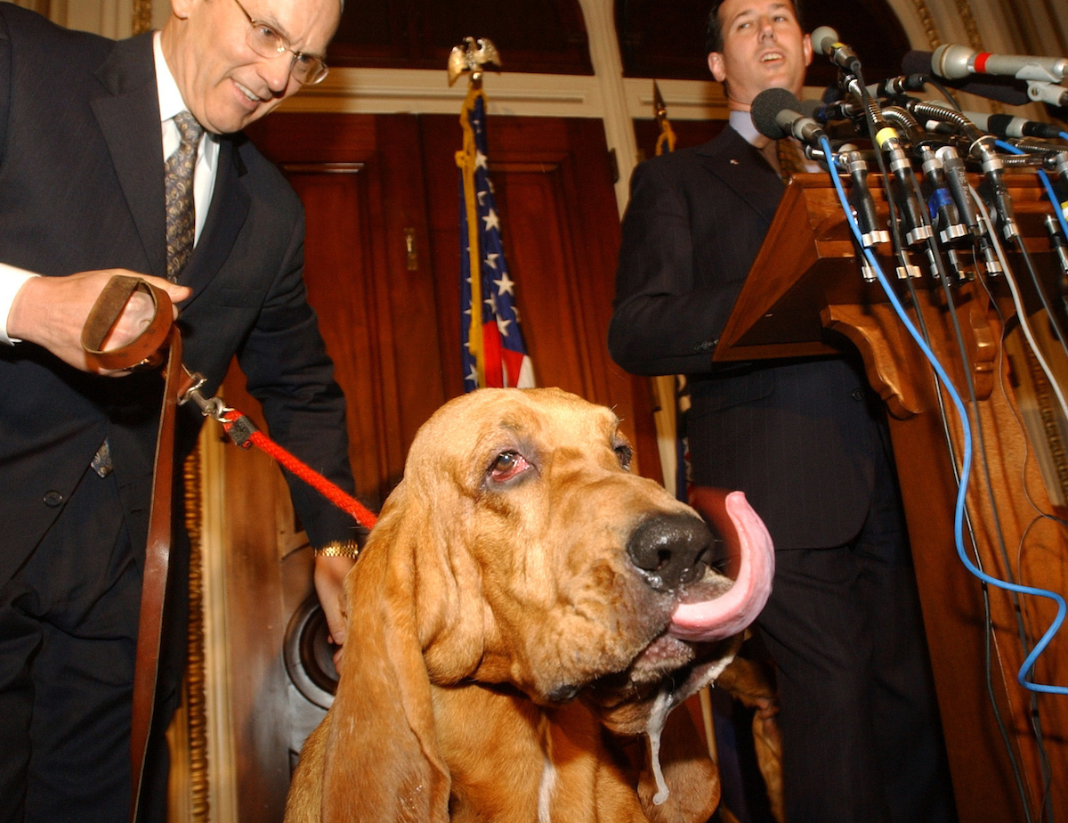 GOP leaders brought Bloodhounds into a news conference to look for over fifty passed house bills that are still waitng for action in the Senate. Sen. Larry Craig, R-Idaho, holds one while Sen. Rick Santorum, R-Pa., speaks at the podium.