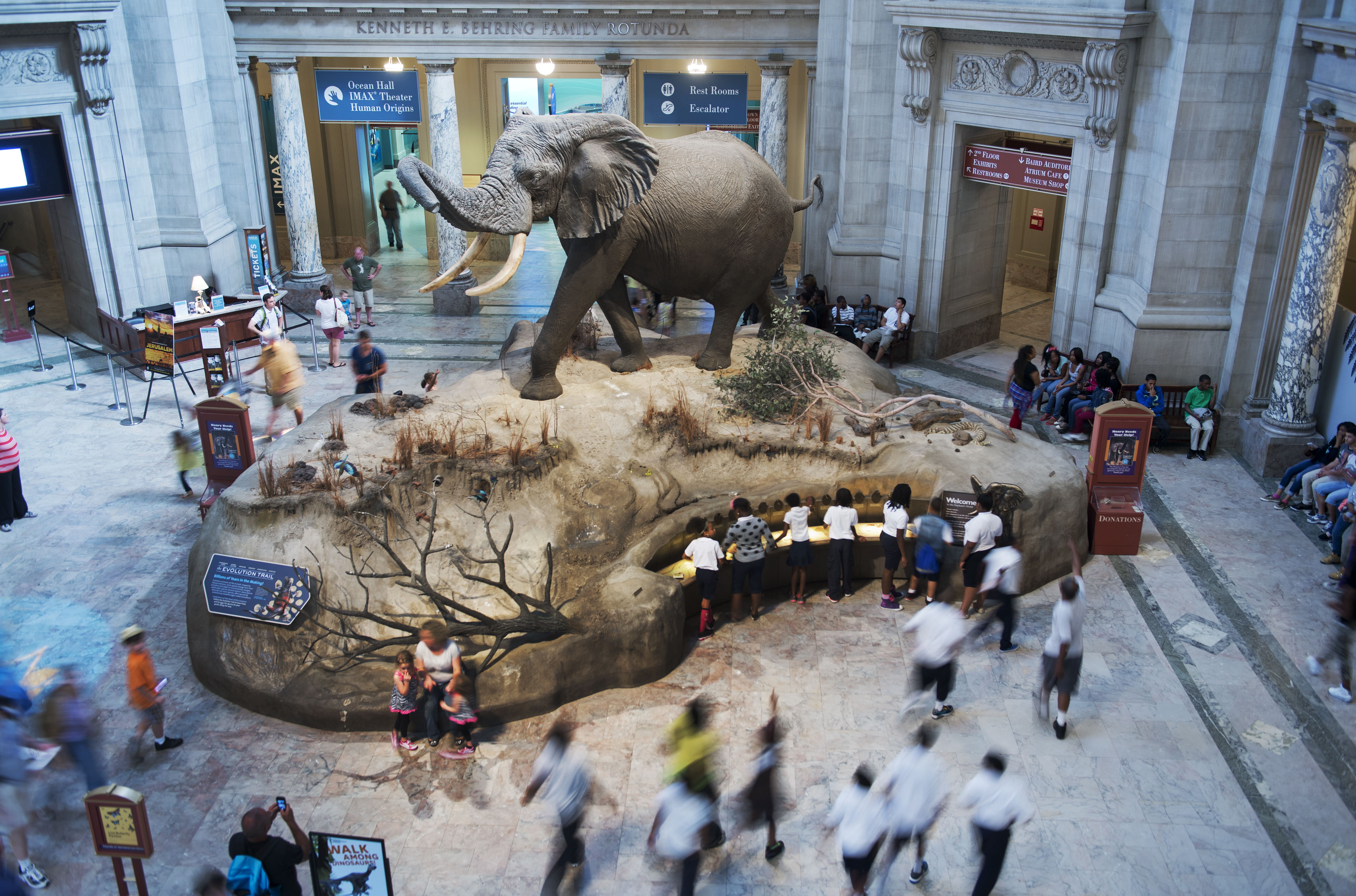 Visitors inside the Smithsonian Natural History Museum. (Tom Williams/CQ Roll Call file photo)