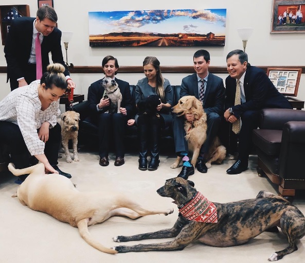 Dogs frequently hang out in the office of Montana Sen. <a class=