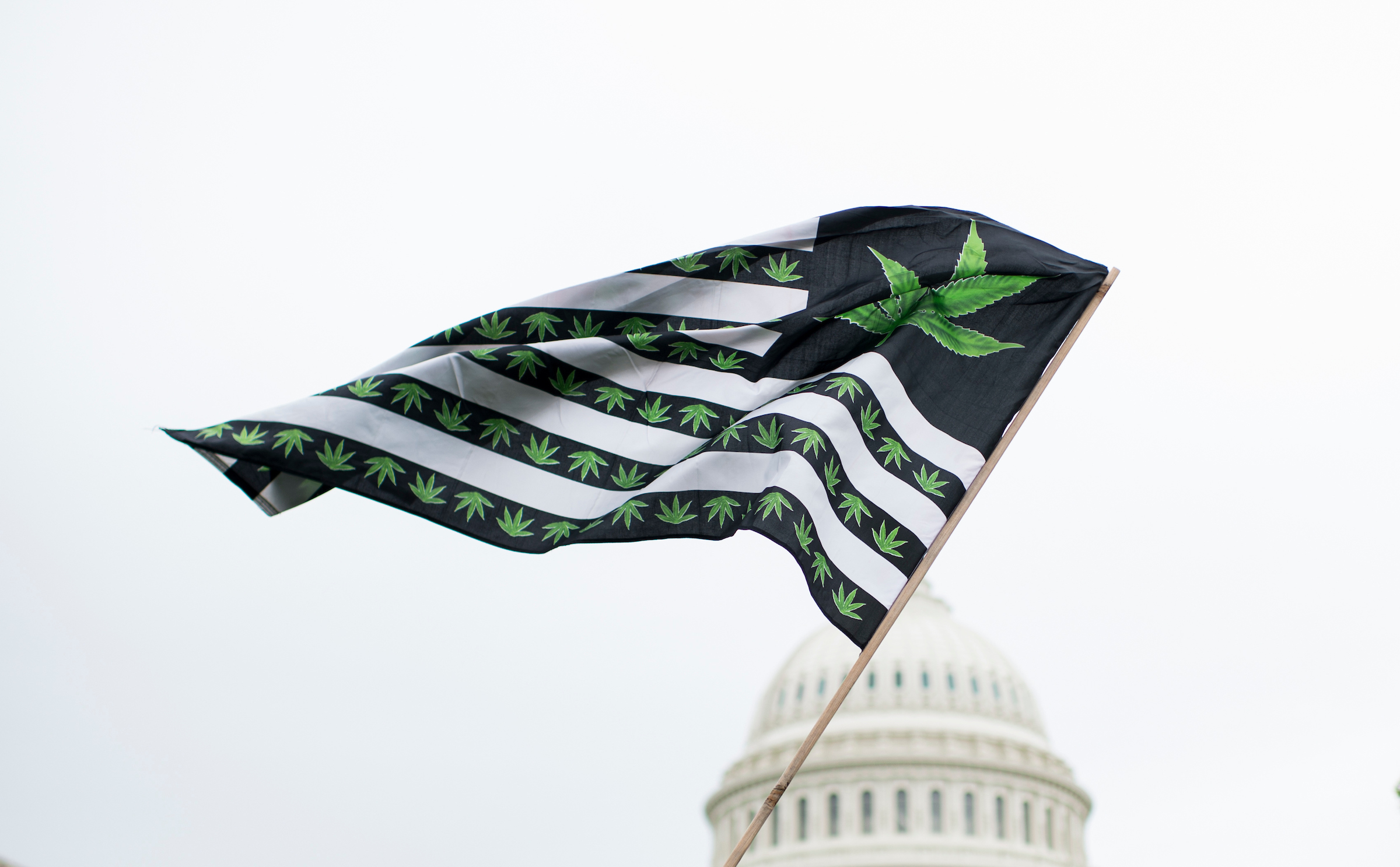 A U.S. flag redesigned with marijuana leaves blows in the wind as DCMJ.org holds a protest in front of the U.S. Capitol on Monday, April 24, 2017, to call on Congress to reschedule the drug classification of marijuana. (Bill Clark/CQ Roll Call)