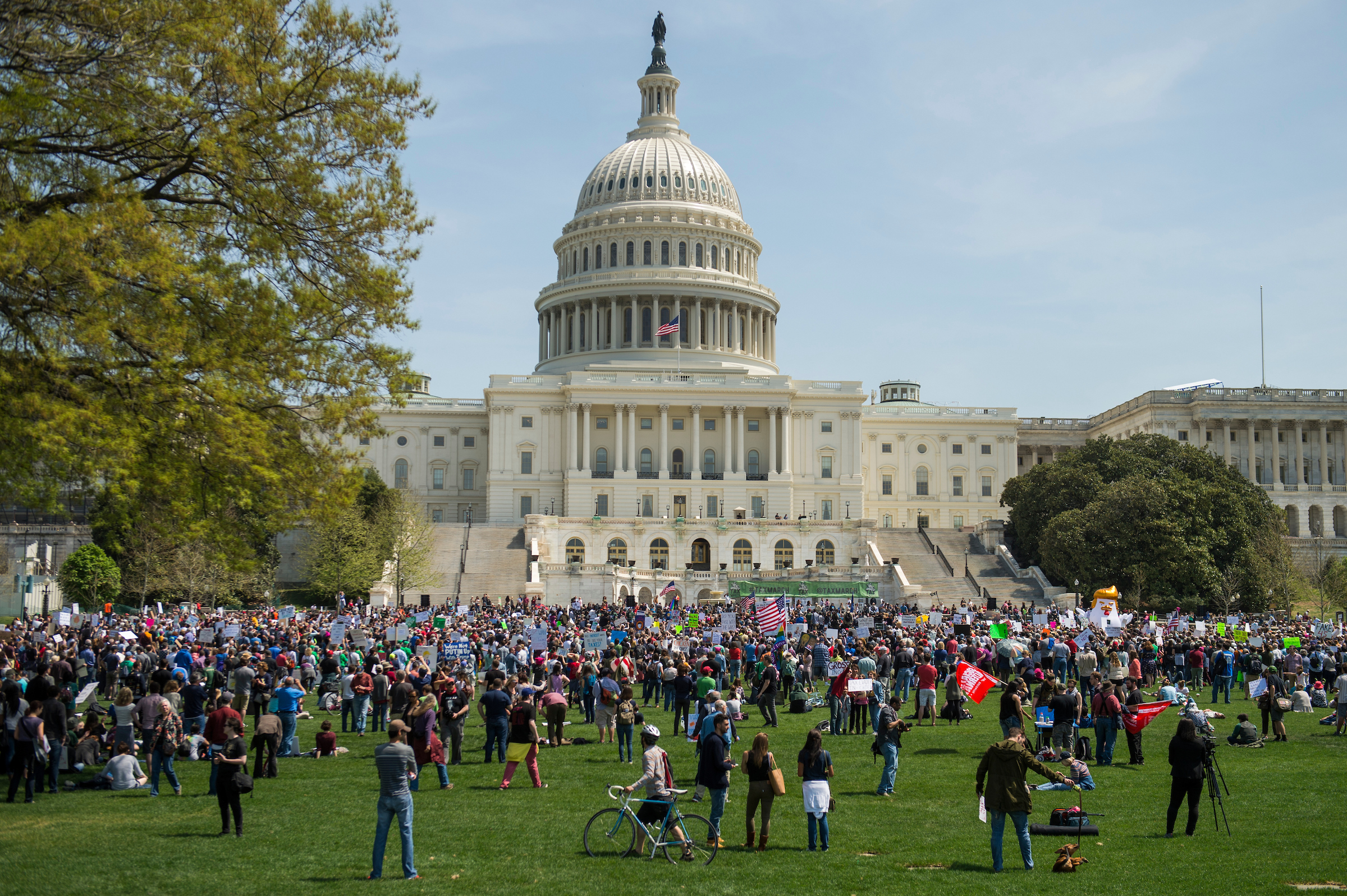 Seven advocates made the CQ Roll Call’s list of Rising Stars of 2017. (Tom Williams/CQ Roll Call)