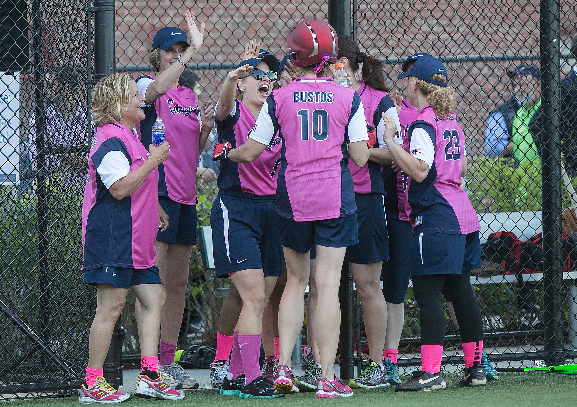 Congressional Women's Softball Game