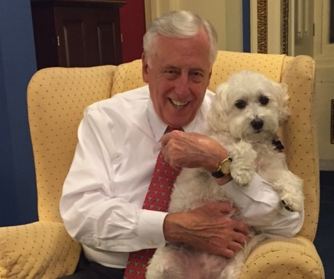 Sophie was adopted after a ASPCA event. (Courtesy of Hoyer's office)