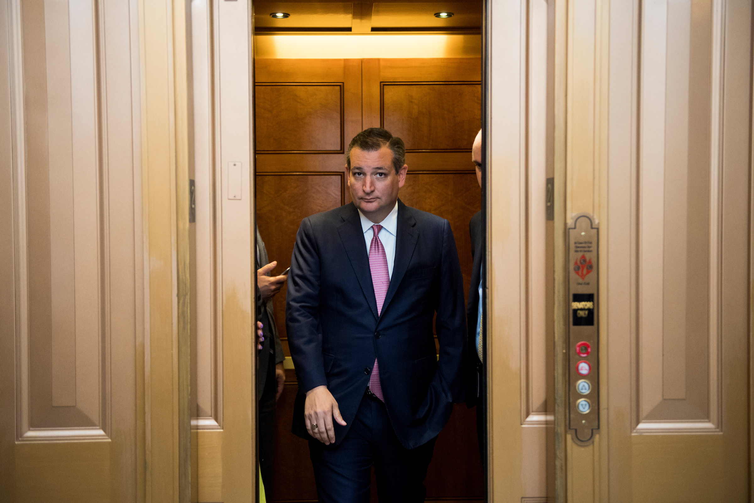 The former campaign spokesman for Sen. Ted Cruz said whenever he criticized Donald Trump during the 2016 campaign, his Twitter feed was attacked by trolls of suspicious origin. (Bill Clark/CQ Roll Call File Photo)