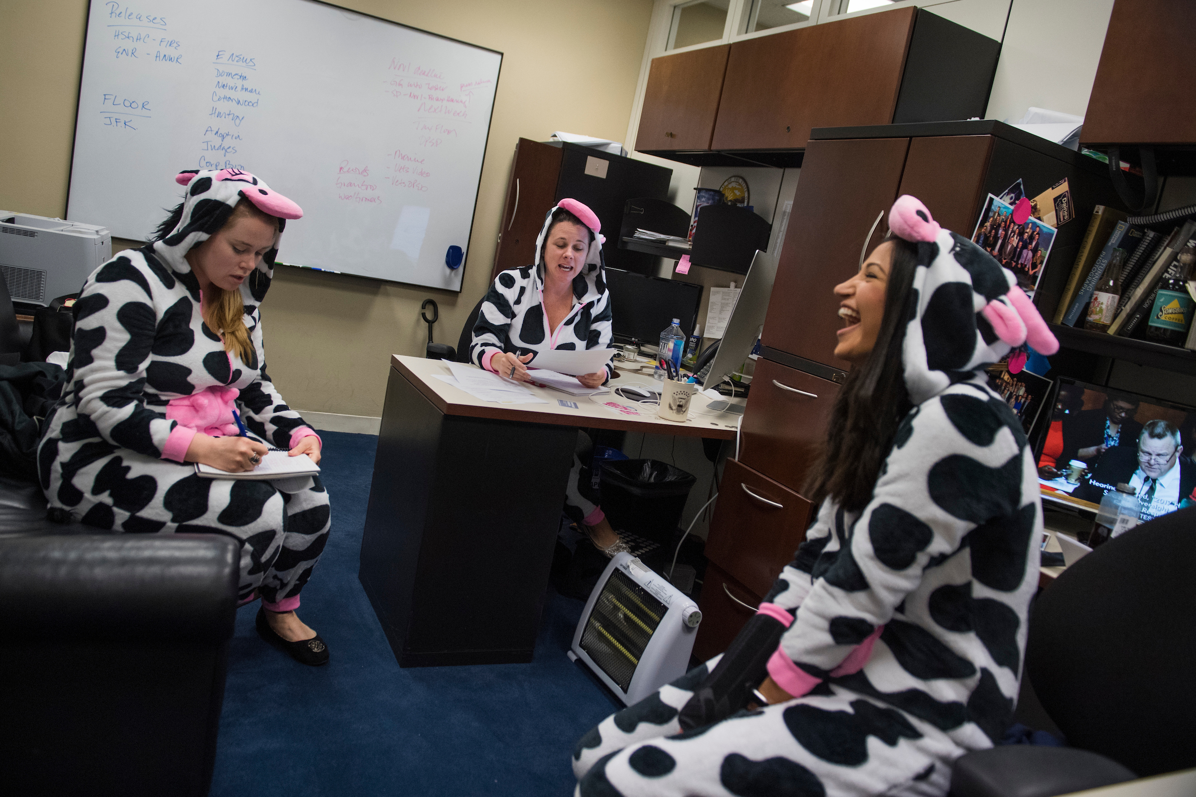 UNITED STATES - OCTOBER 31: Aides for Sen. Steve Daines, R-Mont., from left, Lindsay Black, Marcie Kinzel, and Katie Waldman, are seen in their Halloween costumes in Hart Building on October 31, 2017. The three represent the 3 cows to 1 person population in Montana. (Photo By Tom Williams/CQ Roll Call)