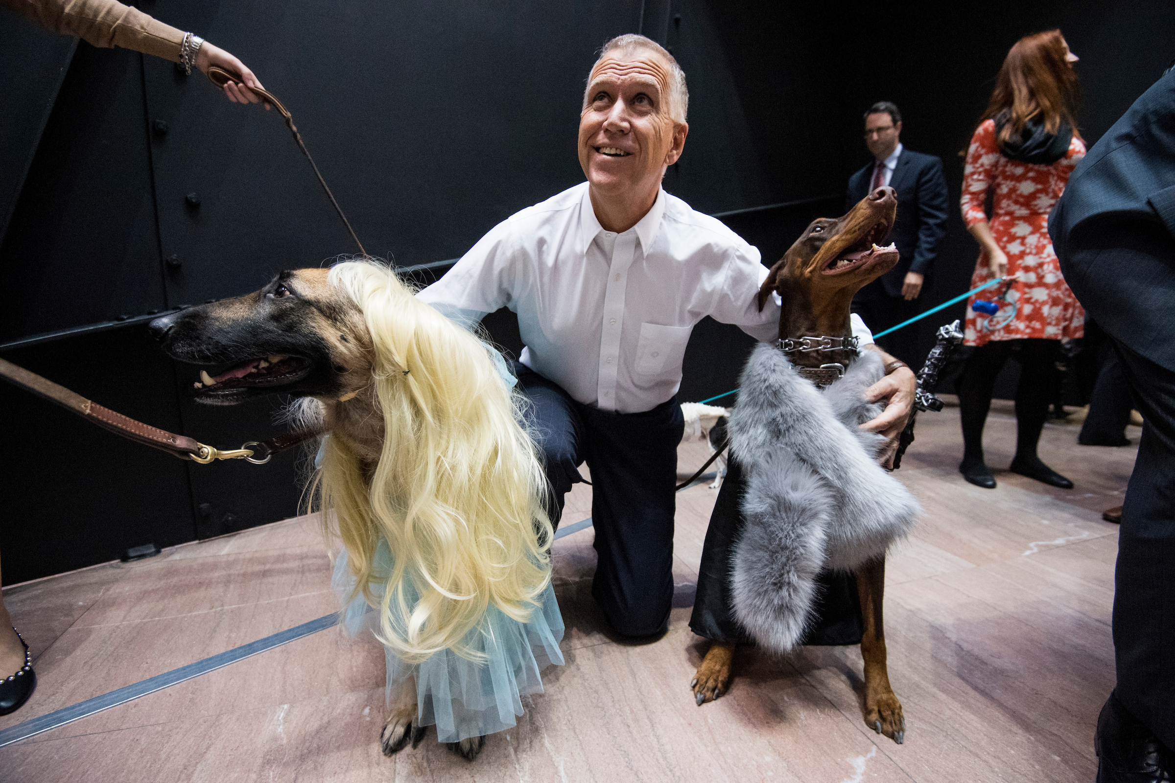 UNITED STATES - OCTOBER 31: Sen. Thom Tillis, R-N.C., poses with the Game of Thrones dogs during his Halloween dog parade on Tuesday, Oct. 31, 2017. (Photo By Bill Clark/CQ Roll Call)