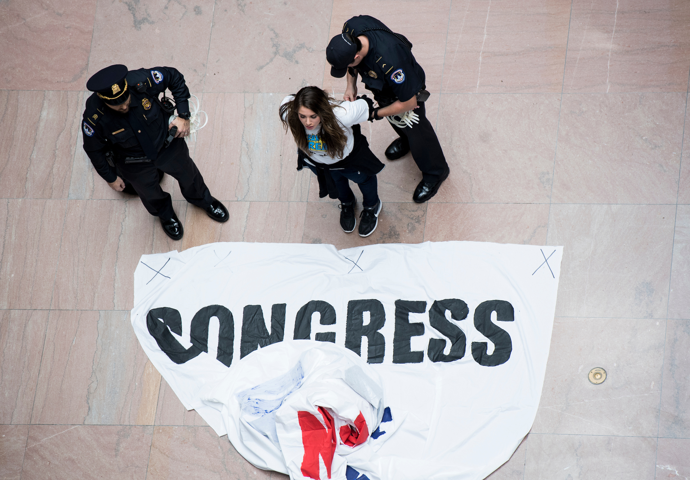 Capitol Police arrest a woman who was holding a banner demanding a clean Dream Act. (Bill Clark/CQ Roll Call)