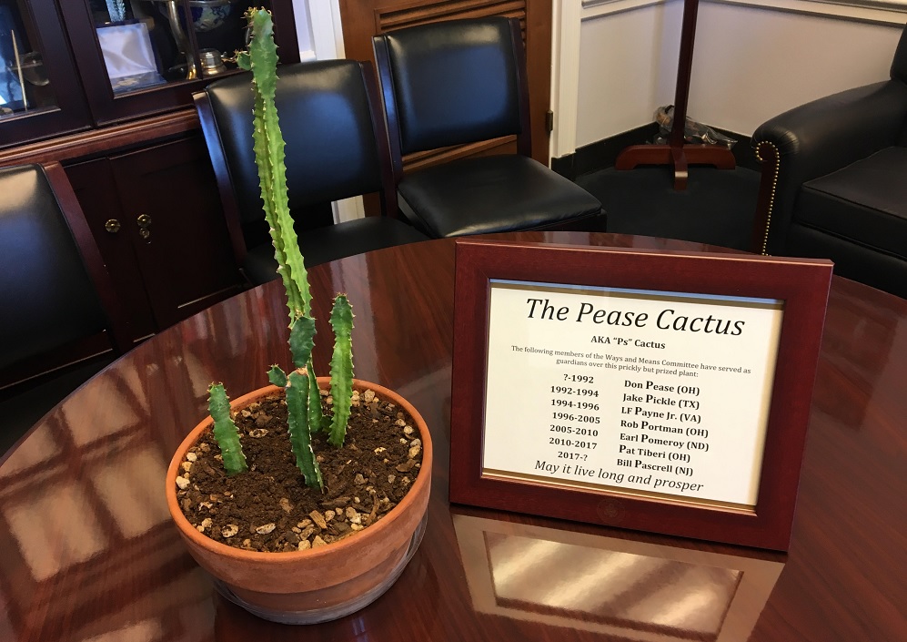 A list of former owners comes with the cactus. (Courtesy of Rep. Bill Pascrell's office)