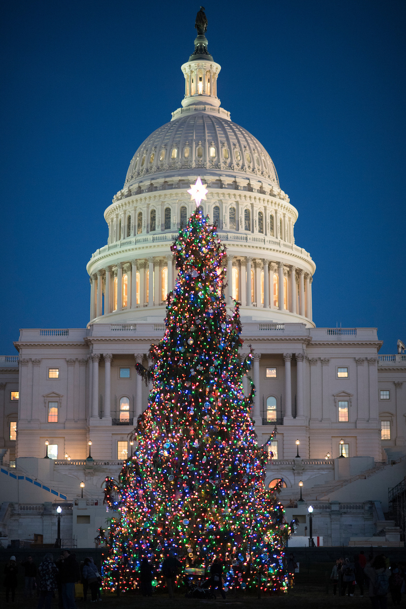 Democrats Want to Stop “Grinch Bots’ from stealing Christmas. (Bill Clark/CQ Roll Call file photo)