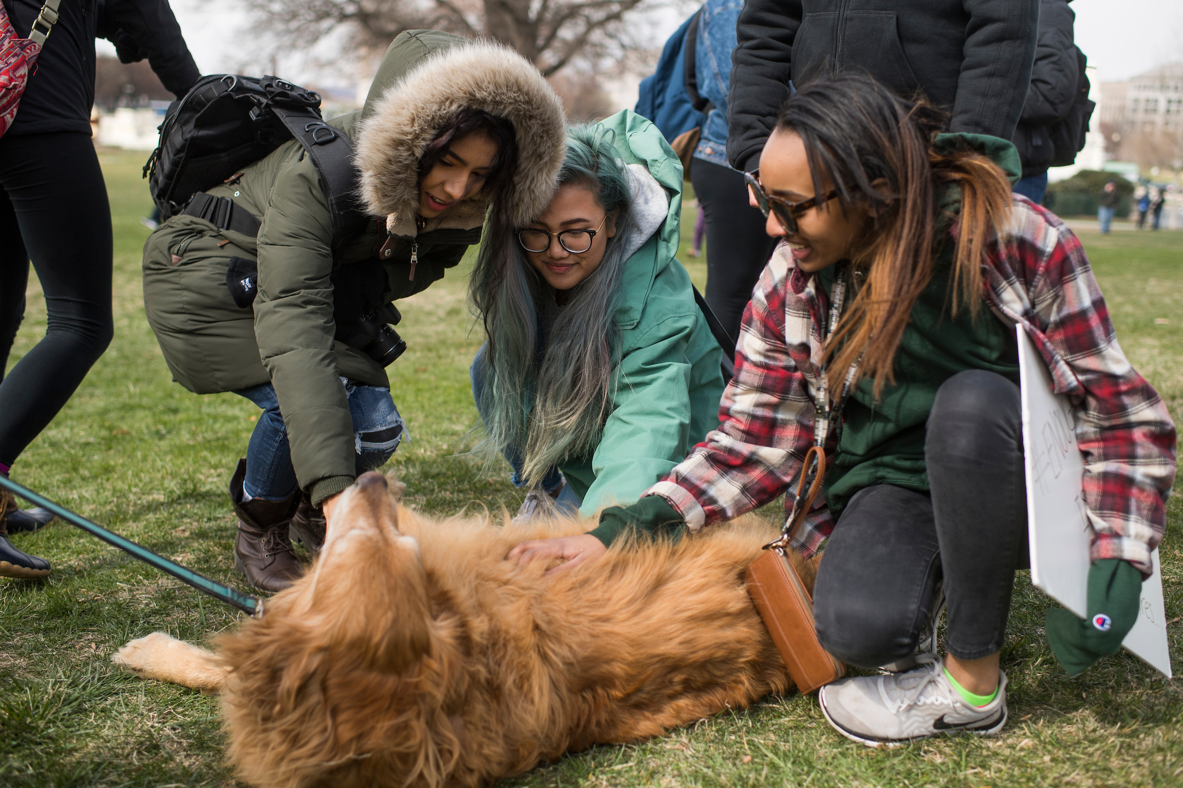 UNITED STATES - MARCH 14: Demonstrators pet a dog while attending a rally on the West Front of the Capitol to call on Congress to act on gun violence prevention during a national walkout by students on March 14, 2018. (Photo By Tom Williams/CQ Roll Call)