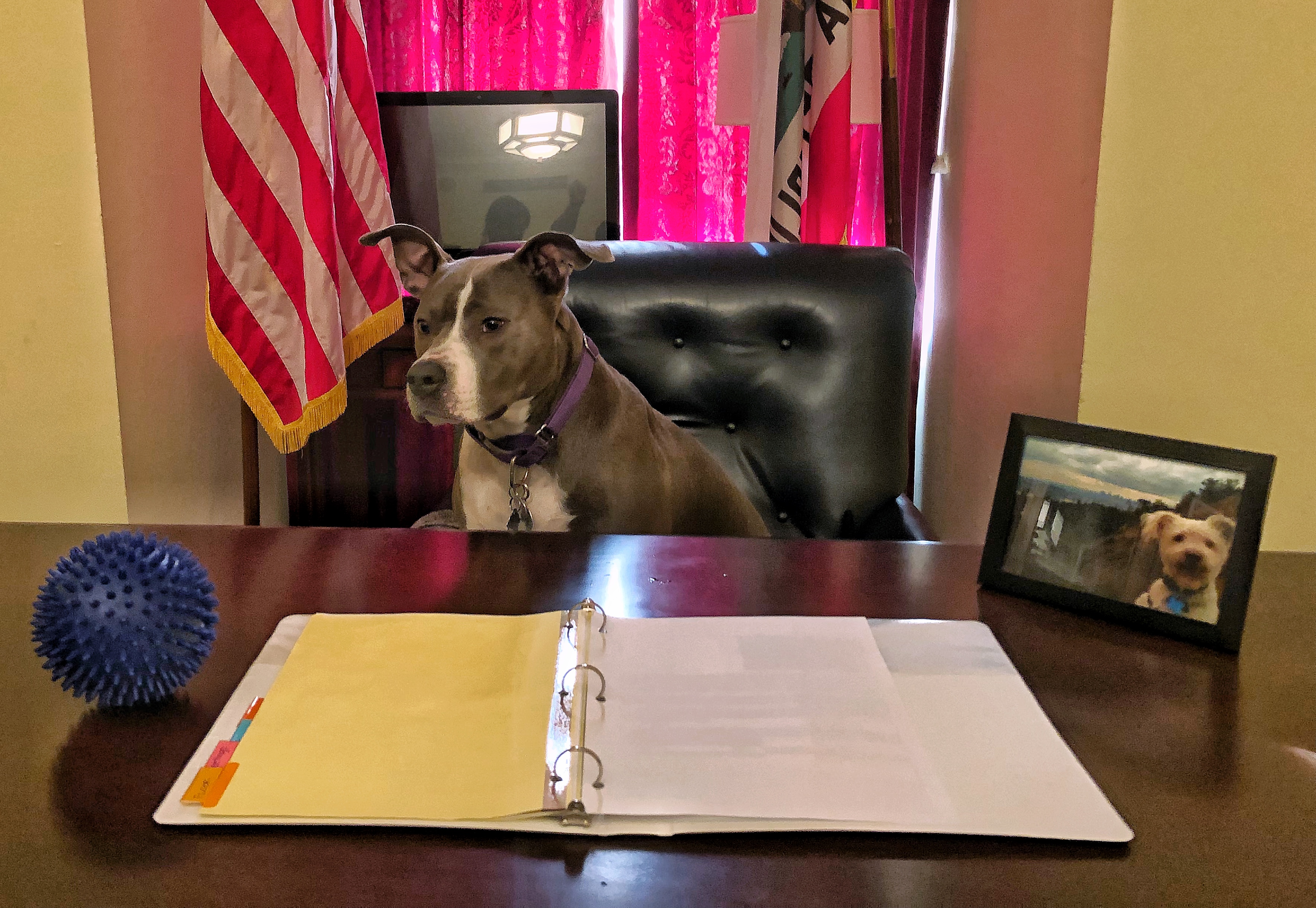 (Courtesy of Gomez's office)