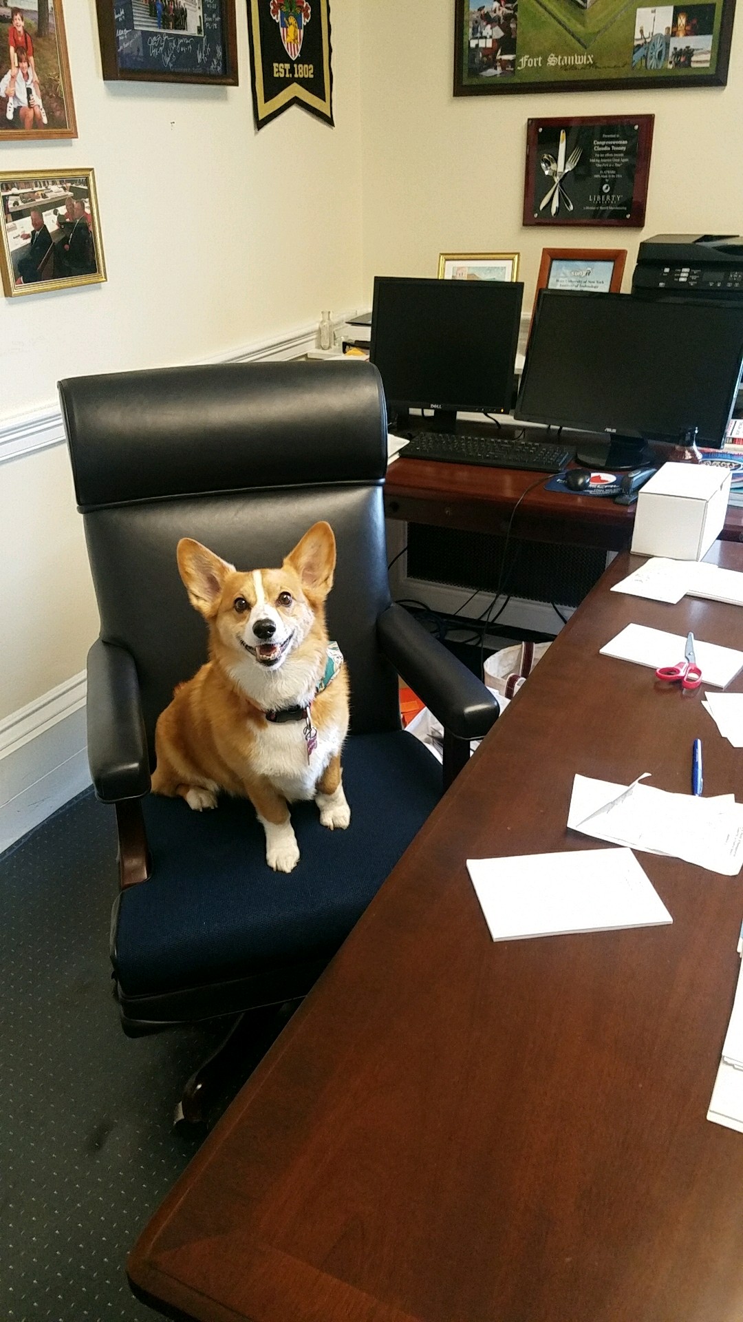 (Courtesy of Tenney's office)