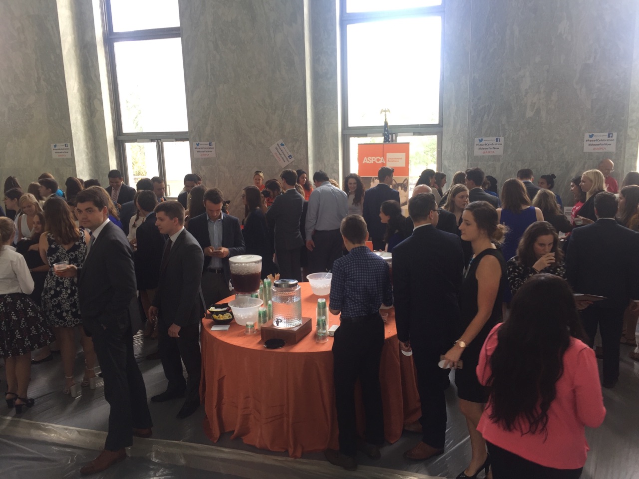 The table of ice tea got pretty crowded at ASPCA's event. (Alex Gangitano/ CQ Roll Call)
