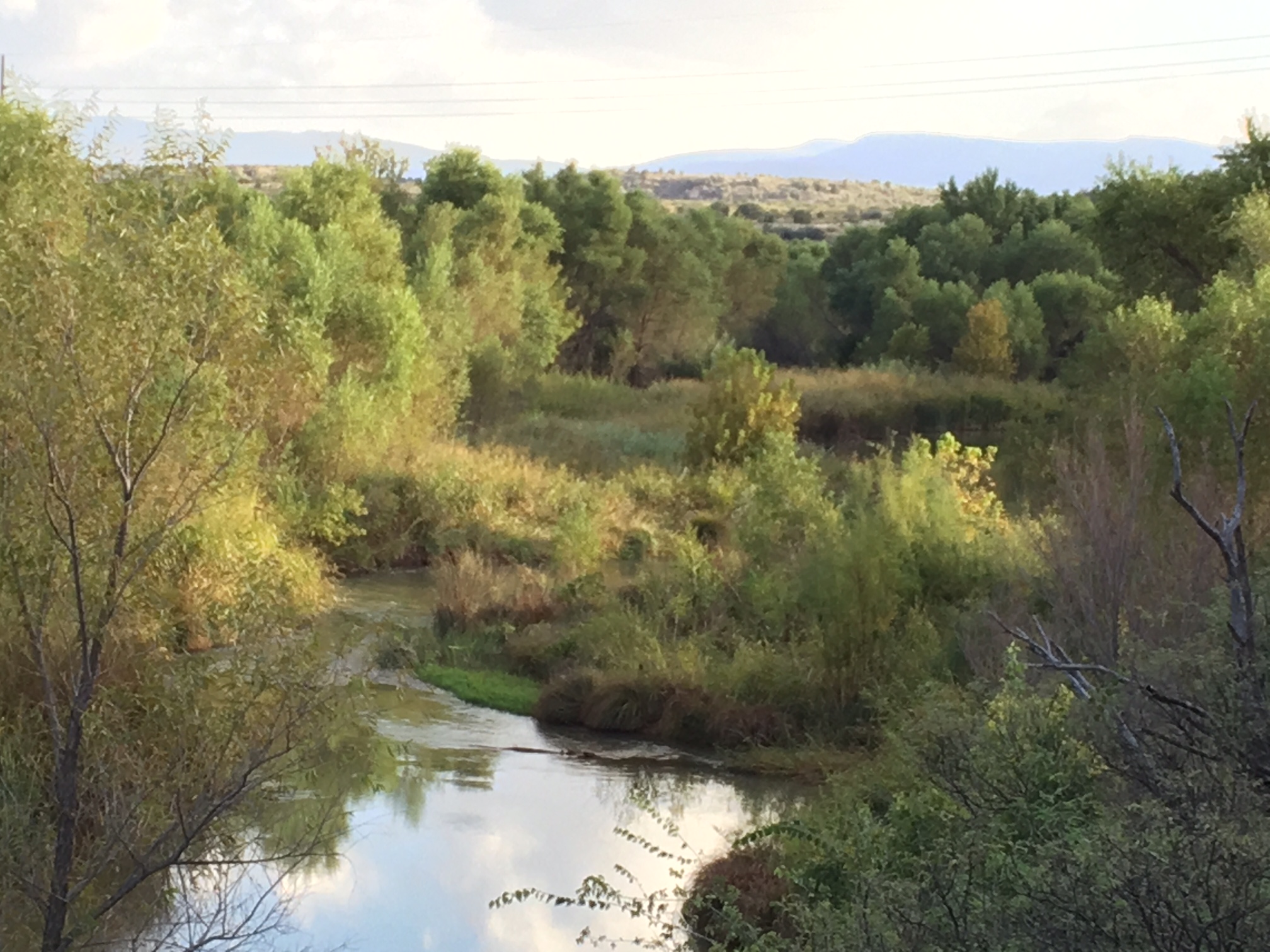 The view from the Dick family home on the Verde River outside Cottonwood, Arizona. (Jason Dick/CQ Roll Call)