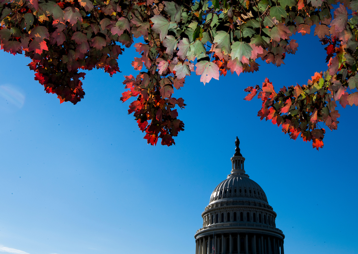 Newly elected members of the 116th Congress arrive in Washington today for new member orientation. (Bill Clark/CQ Roll Call) 