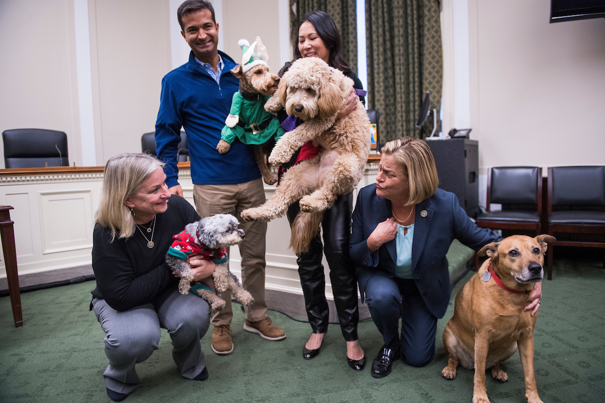 From left, Reps. Susan Wild, D-Pa., Mini Poodle, Zoey, Carlos Curbelo, R-Fla., and Welsh Terrier, Riggins, Stephanie Murphy, D-Fla., and Mini Goldendoodle, Carmela, and Ileana Ros-Lehtinen, R-Fla., and D.C. pound dog, Maya, pose for a picture at the Bipawtisan Howliday in Rayburn Building on December 10, 2018. Riggins is owned by Curbelo's communications director Joanna Rodriguez. (Photo By Tom Williams/CQ Roll Call)