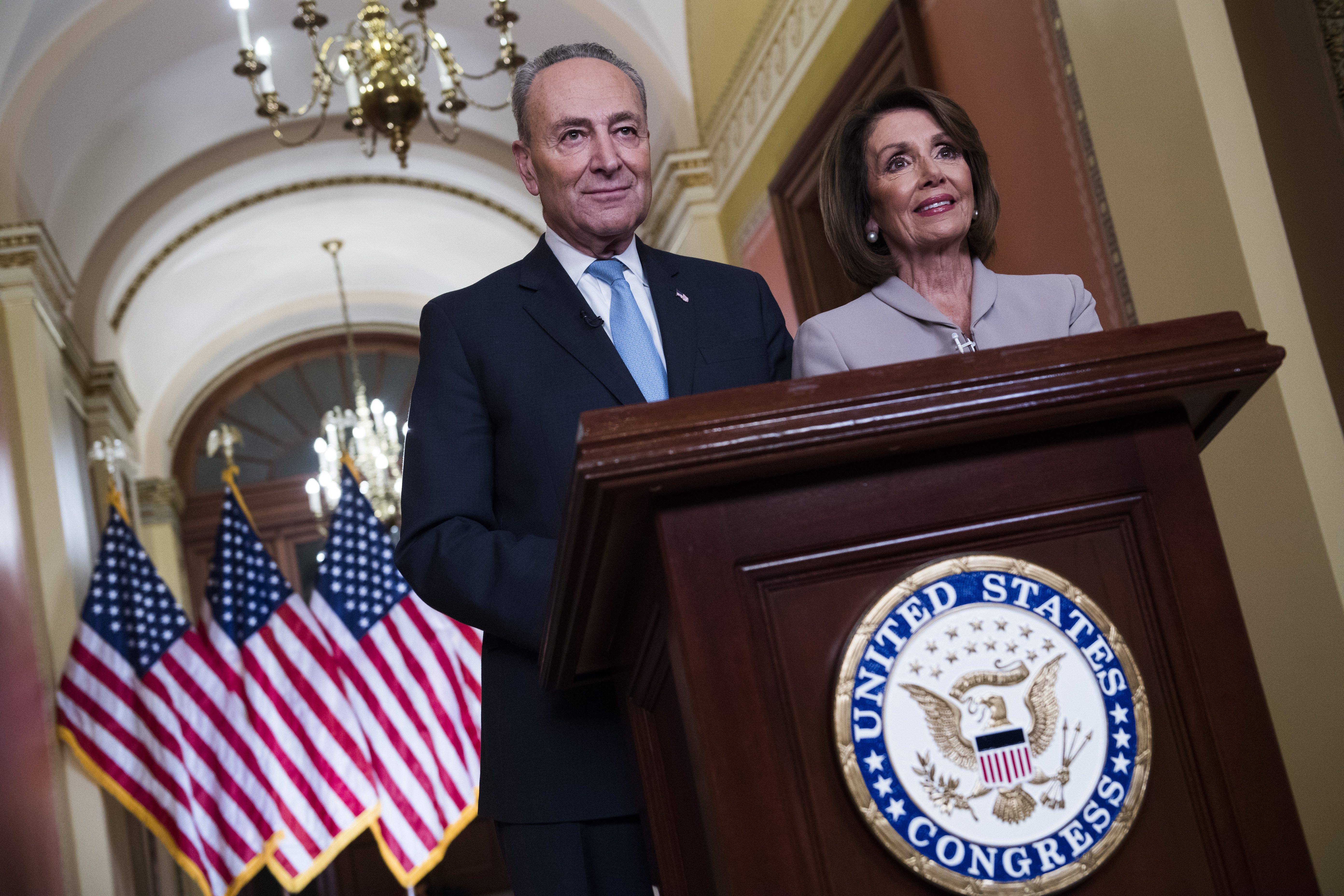 Senate Minority Leader Charles E. Schumer, D-N.Y., and Speaker Nancy Pelosi, D-Calif., responded to President Donald Trump's Oval Office address. (Tom Williams/CQ Roll Call)