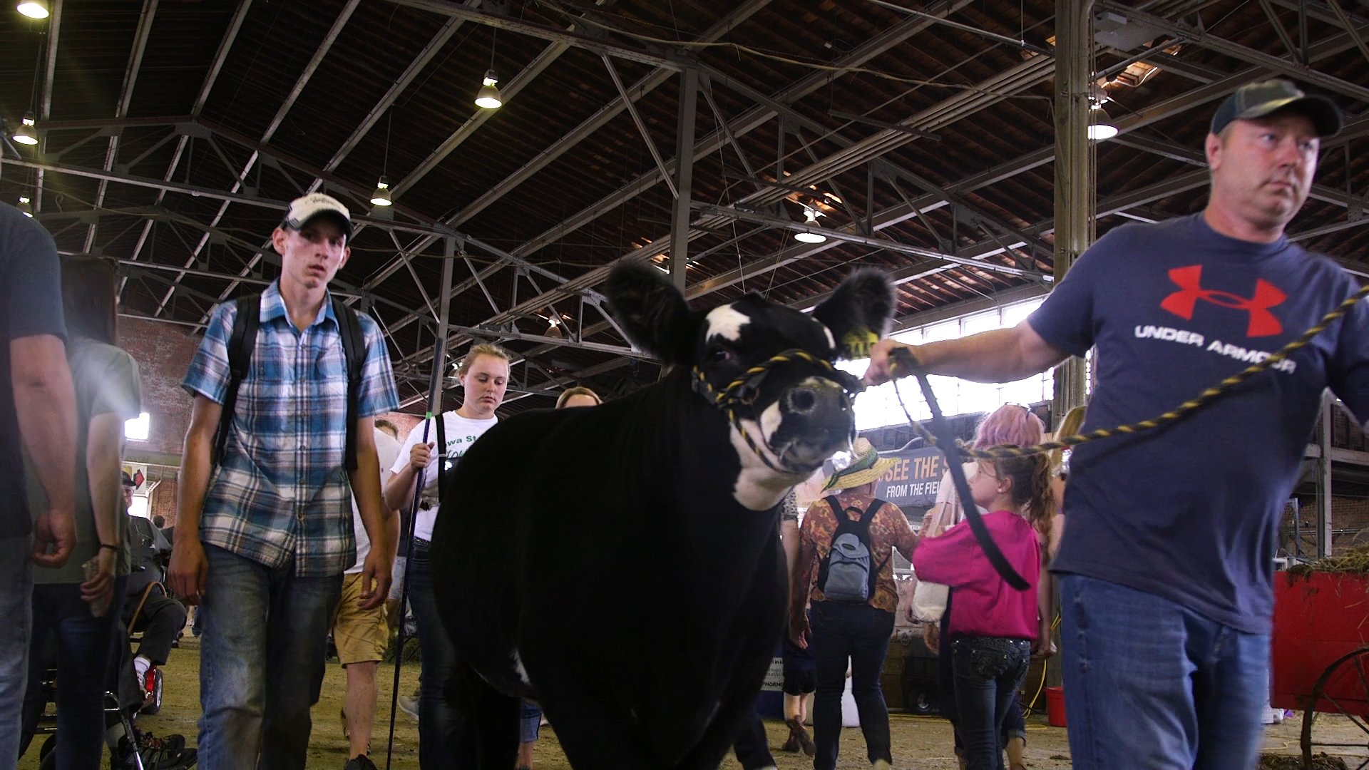 Livestock in the agriculture building at the Iowa State Fair. (Thomas McKinless/CQ Roll Call).