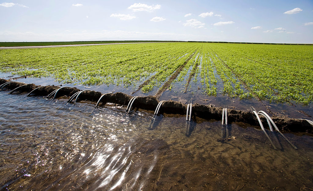 Irrigation system in a corn field, San Joachin Valley of California. (Andia/Universal Images Group via Getty Images)